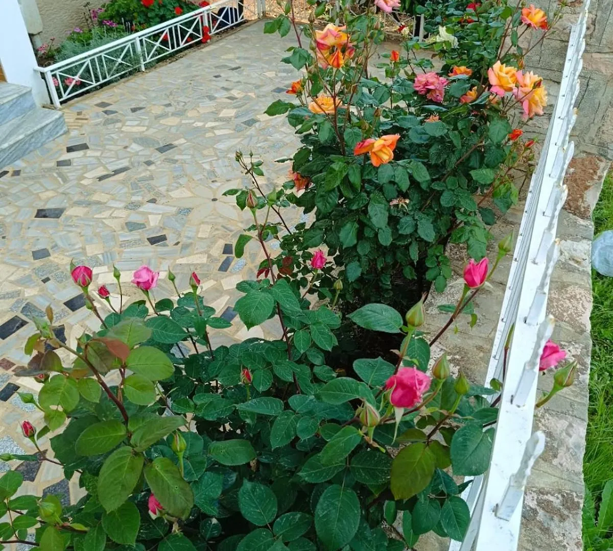 Elision Apartments Σαράντα